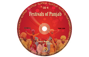 Festivals Of Punjab